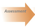 Assessment